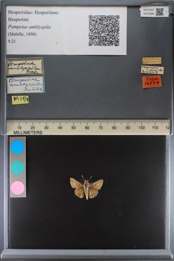 Media type: image;   Entomology 16584